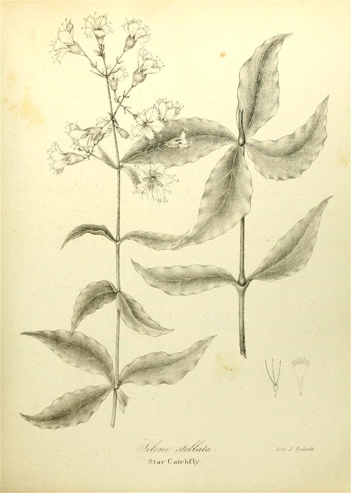 n538_w1150