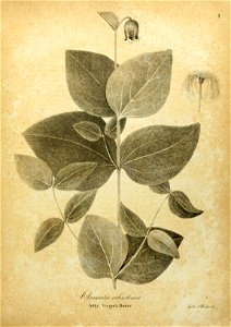 n508_w1150