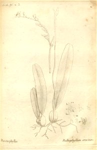 n139_w1150