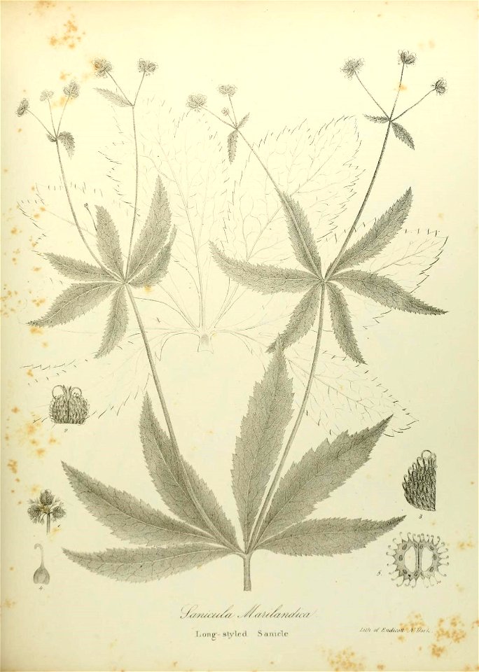 n568_w1150