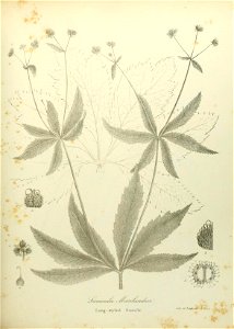 n568_w1150