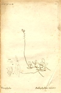 n153_w1150