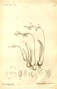 n138_w1150
