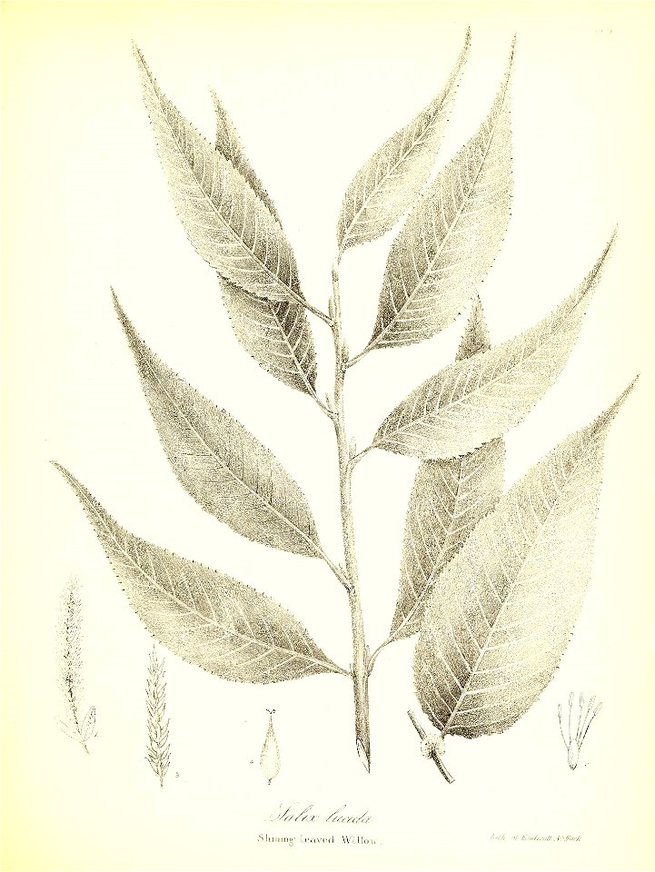 n678_w1150