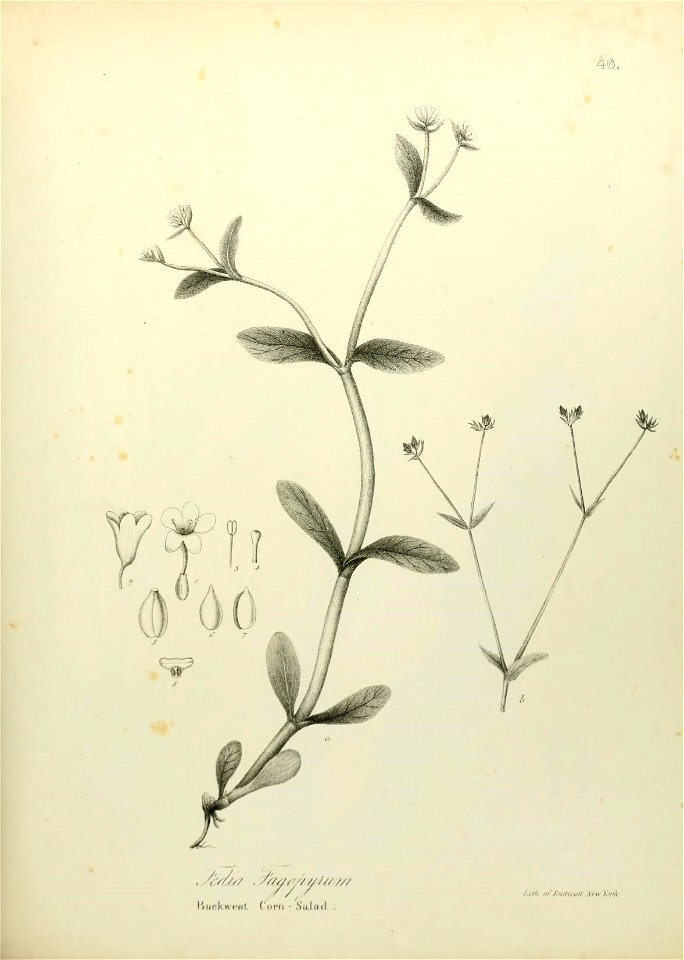 n598_w1150