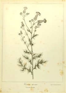 n628_w1150