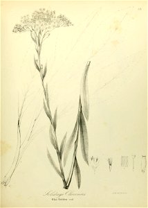 n612_w1150