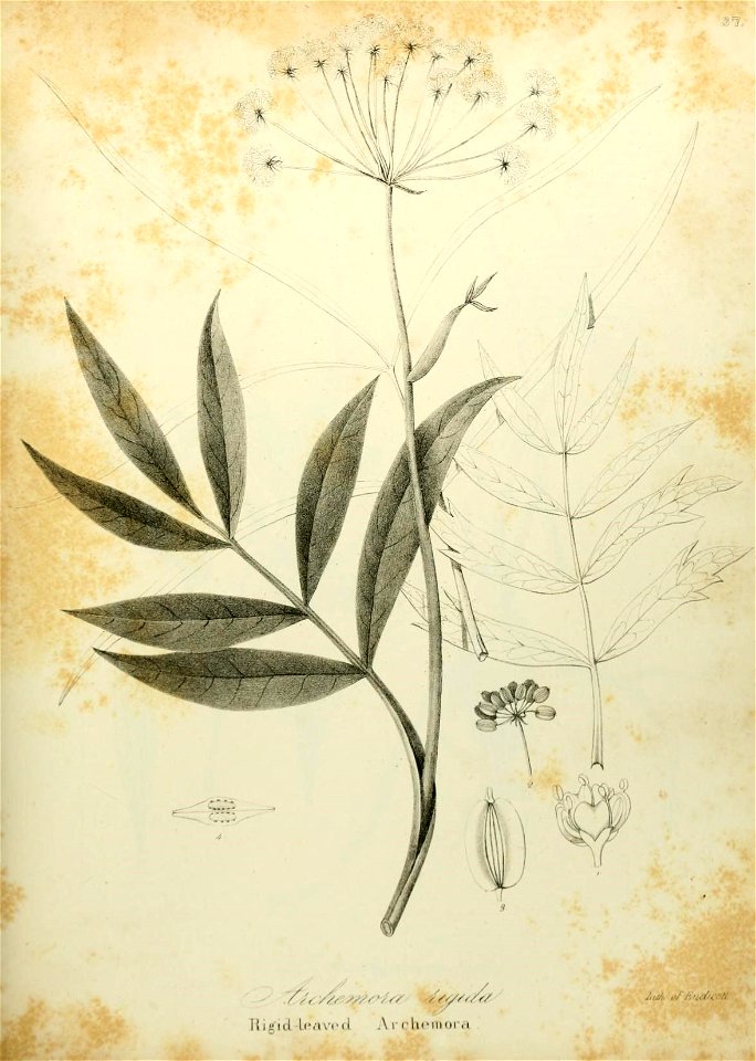n580_w1150