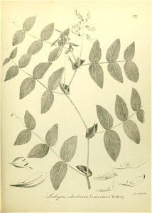 n550_w1150