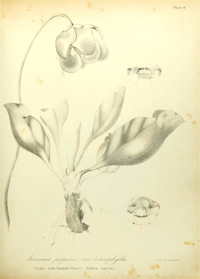 n518_w1150