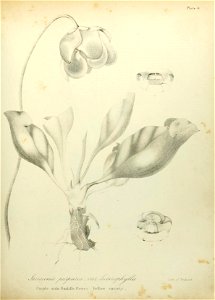 n518_w1150