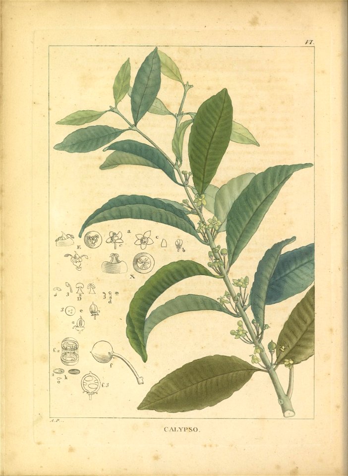 n49_w1150