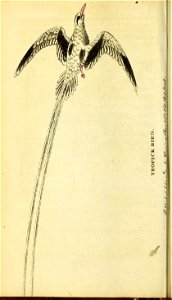 n269_w1150
