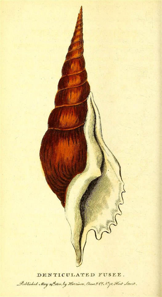n359_w1150