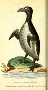 n127_w1150