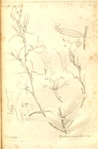 n125_w1150