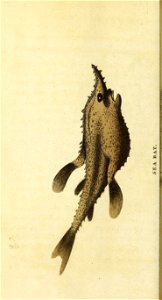n447_w1150
