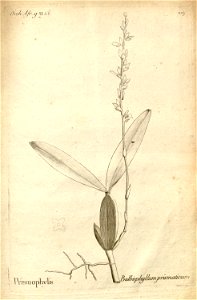 n152_w1150