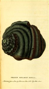 n421_w1150