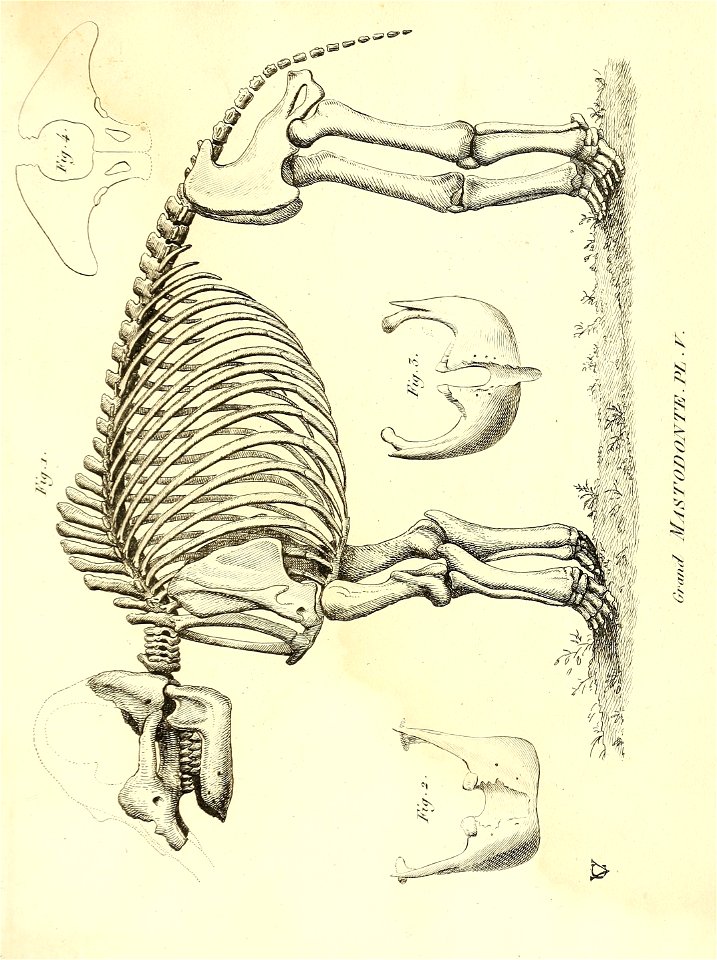 n424_w1150