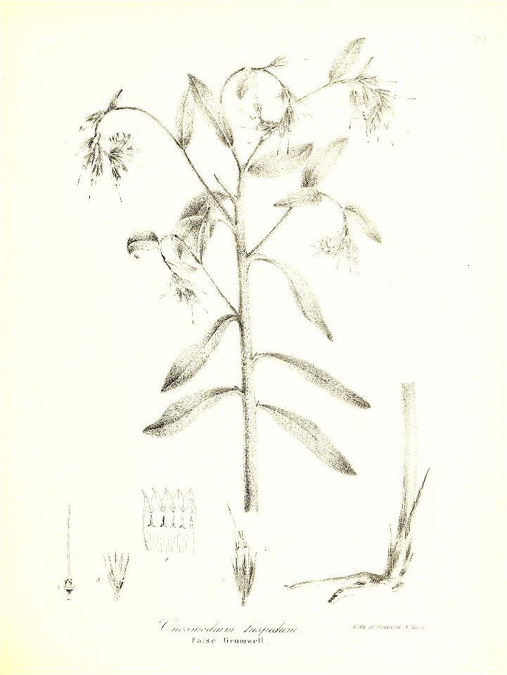 n598_w1150