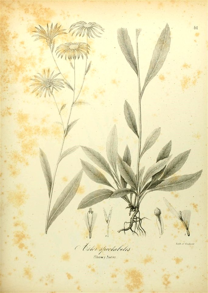 n608_w1150