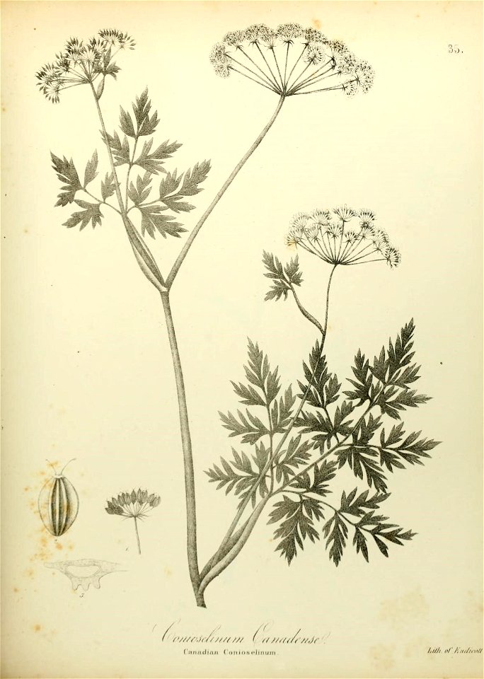 n576_w1150