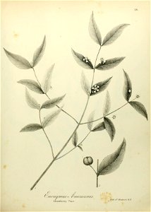 n544_w1150