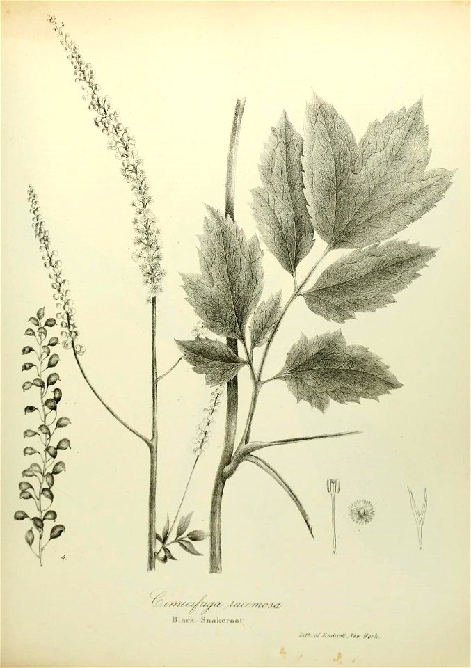 n514_w1150