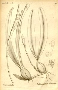 n142_w1150