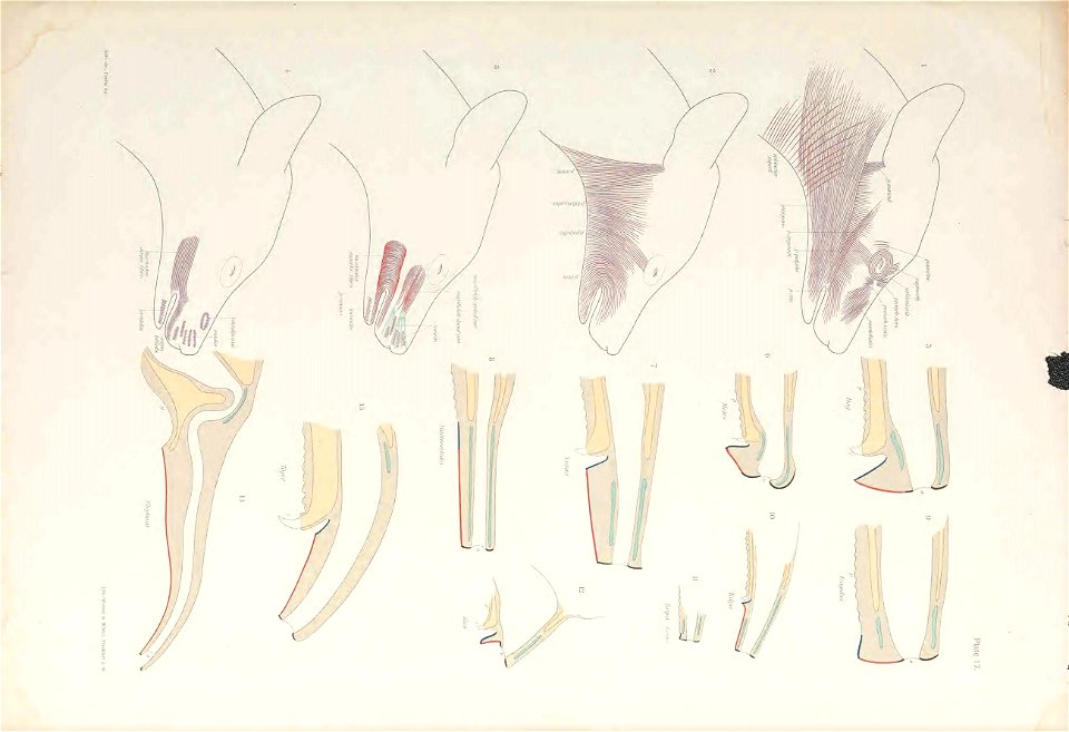 n120_w1150