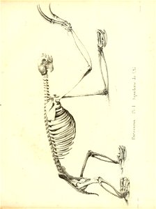 n356_w1150