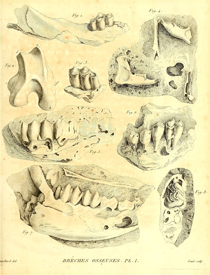 n134_w1150