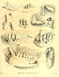 n134_w1150