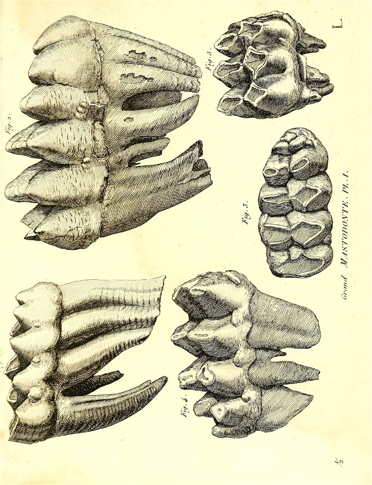n416_w1150