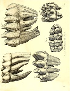 n416_w1150