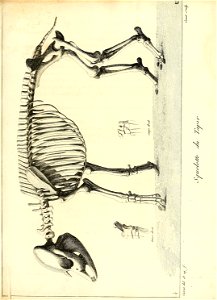 n202_w1150