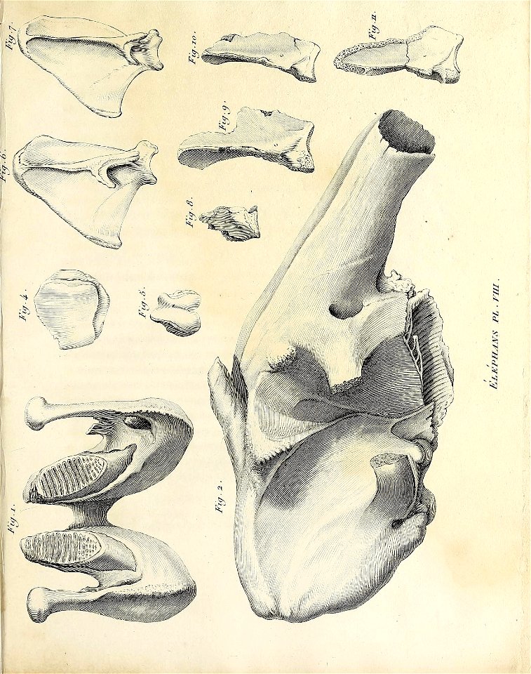 n370_w1150