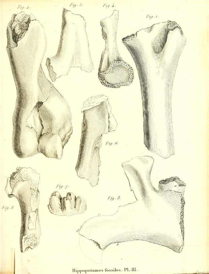 n174_w1150