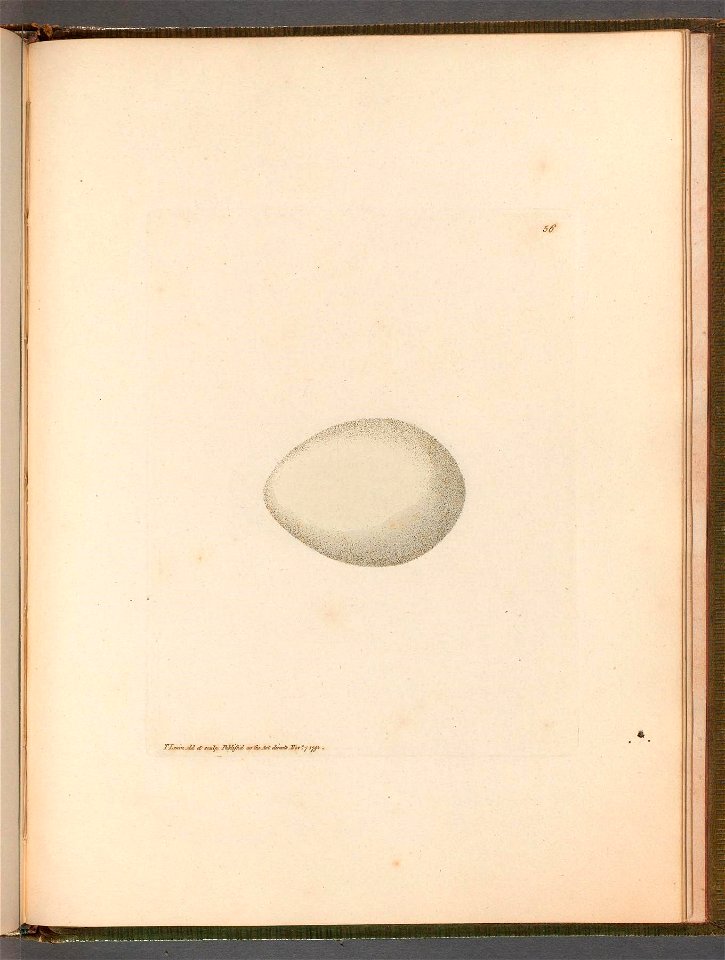 n109_w1150