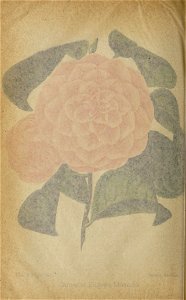 n111_w1150