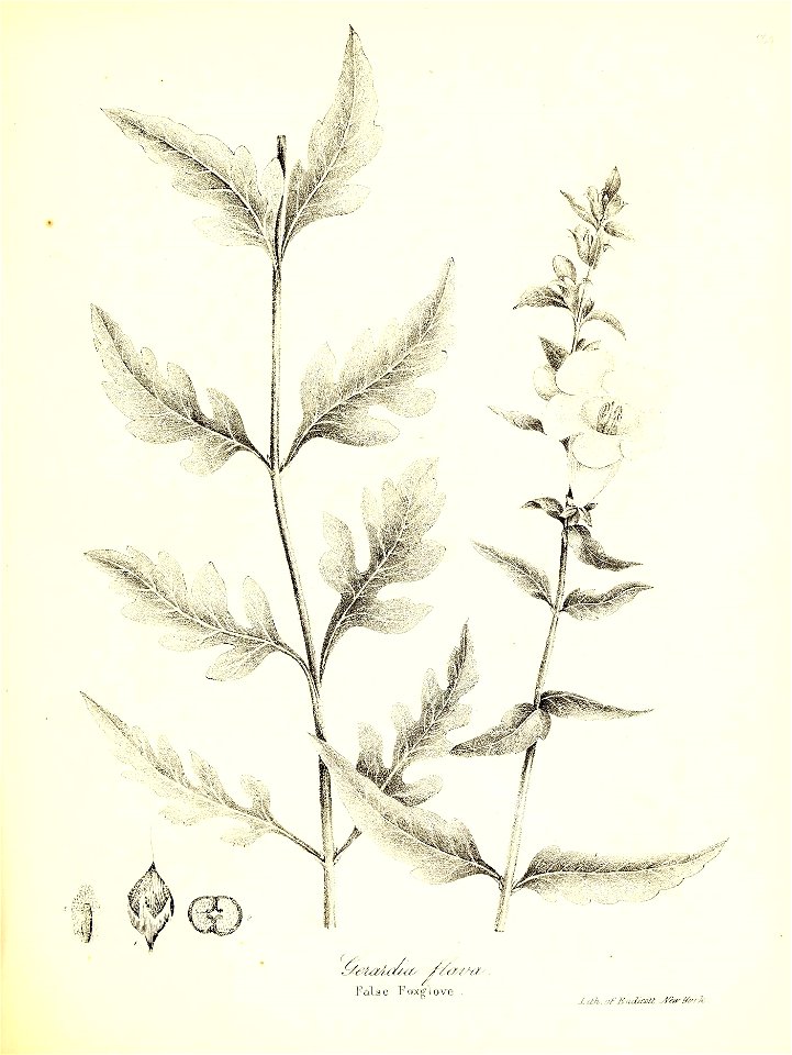 n586_w1150