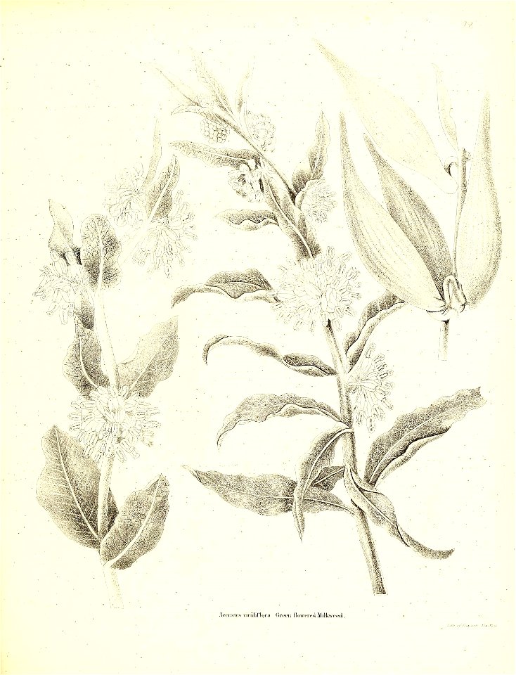 n616_w1150