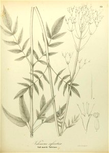 n596_w1150
