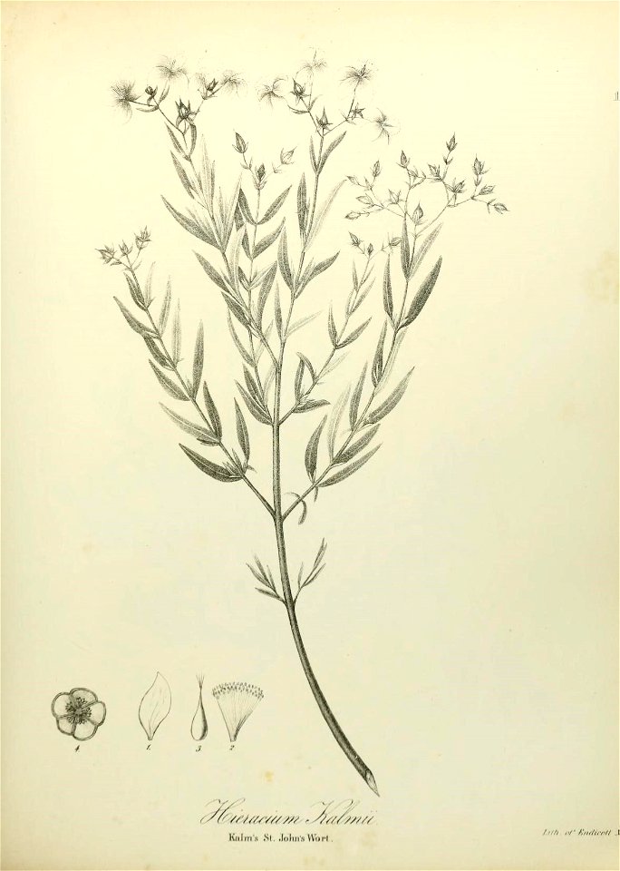 n532_w1150