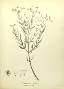 n532_w1150