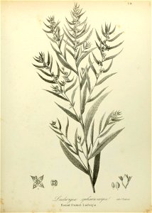 n564_w1150