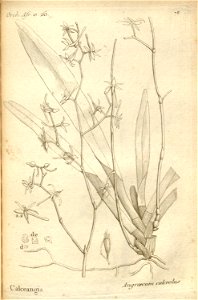 n121_w1150