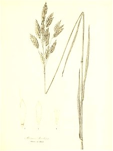n756_w1150