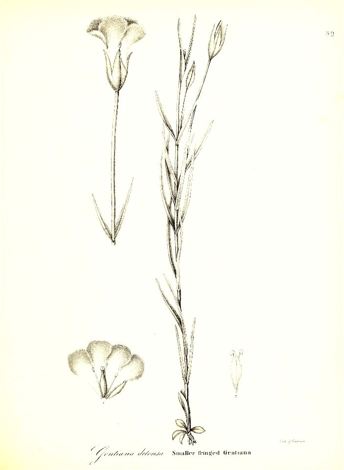 n604_w1150